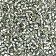 Perline Miyuki Delica 11/0 Silverlined light gray DB-48