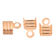 Componenti Finalini fermafilo