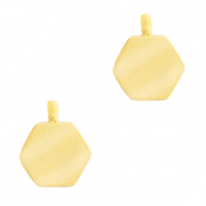 Ciondoli in acciaio inossidabile esagono oro