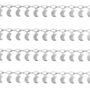 Componenti in acciaio inossidabile catena a rolò luna argento