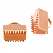 Componenti Fermanastri