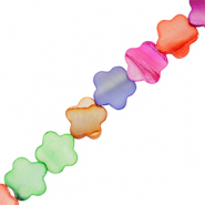 Perline di conchiglia fiore multicolore