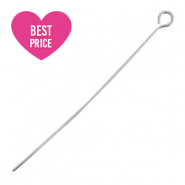 Componenti in acciaio inossidabile chiodino a occhiello 50mm argento