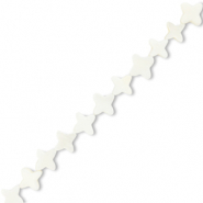 Perline di conchiglia stella biancastro