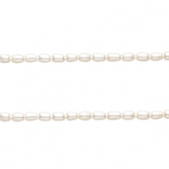 TQ Perle di acqua dolce chicco di riso 5x3 mm bianco naturale