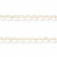 TQ Perle di acqua dolce chicco di riso 11x8mm bianco naturale