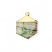 Ciondoli in pietra naturale Labradorite esagono grigio-oro