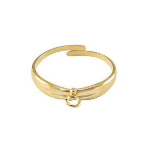 Anelli in acciaio inossidabile con anellino oro