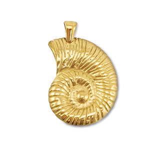 Ciondoli in acciaio inossidabile conchiglia oro