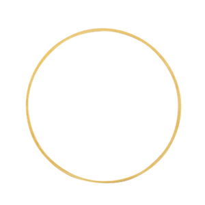 Componenti di metallo DQ anellino chiuso 25mm oro (privo di nichel)