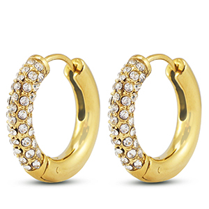 Orecchini in acciaio inossidabil a cerchio oro