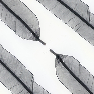 Lacci delle scarpe trendy organza nero