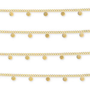 Componenti in acciaio inossidabile catena a rol&ograve; con piccole monete oro