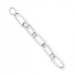 BY31&reg; Ciondoli con catena a rol&ograve; anchor in acciaio inossidabile argento