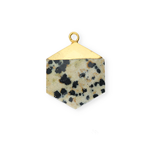 Ciondoli in pietra naturale Diaspro Dalmata esagono grigio beige-nero-oro